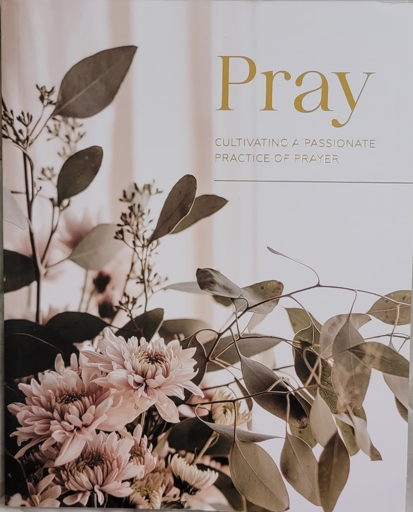 Pray - Cultivating a Life of Prayer Bible Study
